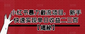 小红书暴力截流项目，新手快速实现单日收益二三百【仅揭秘】-星启会