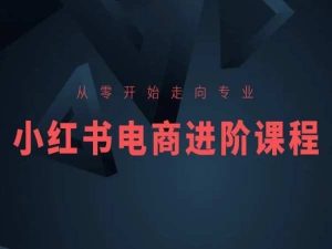 从零开始走向专业，小红书电商进阶课程-星启会