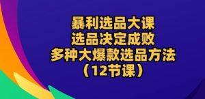 暴利选品大课：选品决定成败，教你多种大爆款选品方法(12节课)-星启会