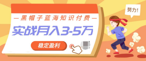 图片[1]-黑帽子蓝海知识付费项目，持续稳定盈利，实战月入3-5W项目-星启会