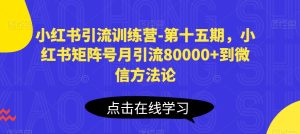 小红书引流训练营-第十五期，小红书矩阵号月引流80000+到微信方法论-星启会