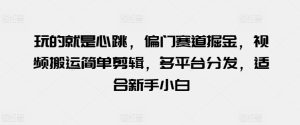 玩的就是心跳，偏门赛道掘金，视频搬运简单剪辑，多平台分发，适合新手小白【揭秘】-星启会