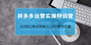 青云:拼多多运营实操特训营：从0到1/单点突破/1-100/带领实操 价值2980元-星启会