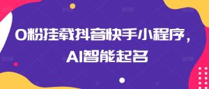0粉挂载抖音快手小程序，AI智能起名-星启会