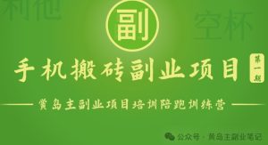 手机搬砖小副业项目训练营1.0，实测1小时收益50+，一部手机轻松日入100+-星启会