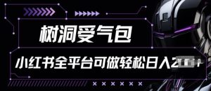 小红书等全平台树洞受气包项目，轻松日入一两张【揭秘】-星启会
