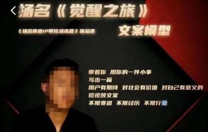 王扬名·《觉醒之旅》文案模型，​带着你用你的一件小事，对自己有意义的短视频文案-星启会