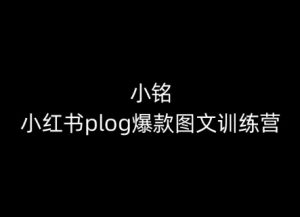 小铭-小红书plog爆款图文训练营，教你从0-1做小红书-星启会