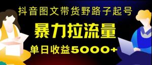 抖音图文带货暴力起号，单日收益5000+，野路子玩法，简单易上手，一部手机即可【揭秘】-星启会