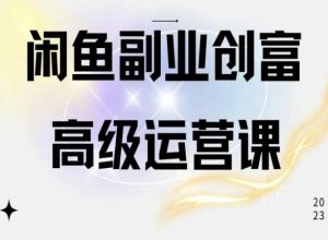 闲鱼电商运营高级课程，一部手机学会闲鱼开店赚钱-星启会