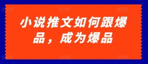 小说推文如何跟爆品，成为爆品【揭秘】-星启会