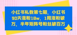 小红书私教第七期,小红书90天涨粉18w,1周涨粉破万,半年矩阵号粉丝破百万-星启会