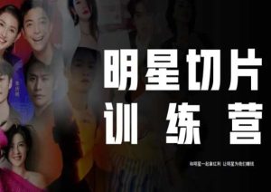 王子·明星切片线上训练营（2023），和明星一起拿红利，让明星为我们赚钱-星启会