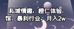 私域情趣，橙仁体验馆，暴利行业，月入2w【揭秘】-星启会