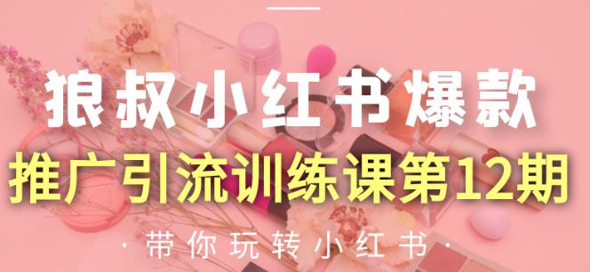 图片[1]-狼叔小红书爆款推广引流训练课第12期，手把手带你玩转小红书-星启会