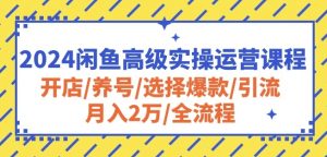 2024闲鱼高级实操运营课程：开店/养号/选择爆款/引流/月入2万/全流程-星启会