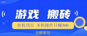游戏挂机挂机项目，多机操作，日赚300【揭秘】-星启会