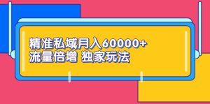 精准私域月入60000+ 流量倍增 独家玩法（9节视频课）-星启会