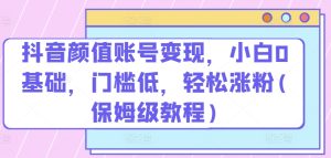 抖音颜值账号变现，小白0基础，门槛低，​轻松涨粉(保姆级教程)【揭秘】-星启会