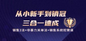 从小新手到销冠 三合一速成：销售3法+非暴力关单法+销售系统挖需课 (27节)-星启会