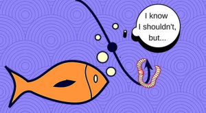 豆瓣引流卖粉项目，每天引流100多粉丝，直接变现800多块钱（价值1200元）-星启会