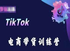 TikTok电商带货训练营，跟随时代潮流，跨境掘金-星启会