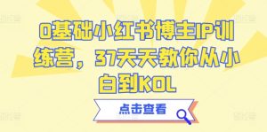 0基础小红书博主IP训练营，37天天教你从小白到KOL-星启会