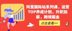 阿里国际站系列课，运营TOP养成计划，升职加薪，跨境掘金-星启会