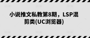 小说推文私教第8期，LSP混剪类(UC浏览器)-星启会
