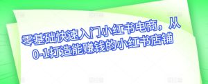 零基础快速入门小红书电商，从0-1打造能赚钱的小红书店铺-星启会