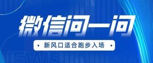 全网首发微信问一问新风口变现项目（价值1999元）【揭秘】-星启会