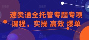 速卖通全托管专题专项课程，实操 高效 爆单-星启会