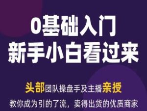 2024年新媒体流量变现运营笔记，教你成为引的了流，卖得出货的优质商家-星启会