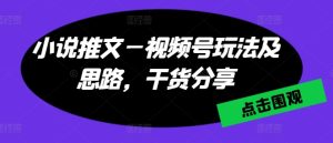 小说推文—视频号玩法及思路，干货分享-星启会