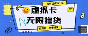 虚拟卡无限撸货，百分百成功下车【仅揭秘】-星启会