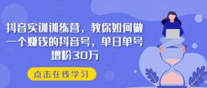 抖音实训训练营，教你如何做一个赚钱的抖音号，单日单号增粉30万-星启会