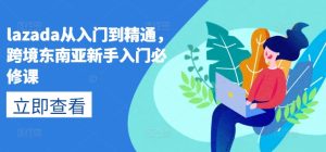 lazada从入门到精通，跨境东南亚新手入门必修课-星启会