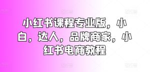 小红书课程专业版，小白，达人，品牌商家，小红书电商教程-星启会