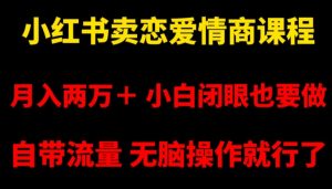 小红书卖恋爱情商课程，月入两万＋，小白闭眼也要做，自带流量，无脑操作就行了【揭秘】-星启会