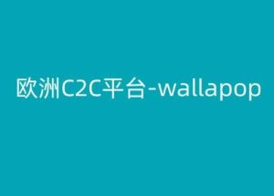 欧洲C2C平台-wallapop-kim跨境电商教程-星启会