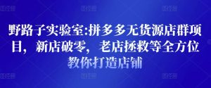 野路子实验室:拼多多无货源店群项目，新店破零，老店拯救等全方位教你打造店铺-星启会