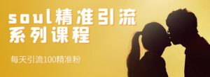 SOUL精准引流系列课程，每天引流100精准粉-星启会