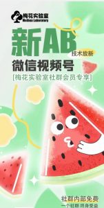梅花实验室2024年AB技术视频号AB合成破解版-星启会