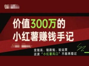 价值300万的小红书赚钱手记，变现高、链路短、轻运营，这波“小红薯风口”不能再错过-星启会
