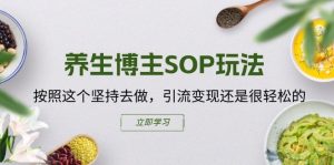 养生博主SOP玩法，按照这个坚持去做，引流变现还是很轻松的-星启会