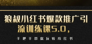小红书爆款推广引流训练课5.0，手把手带你玩转小红书（17节实操视频+话术）-星启会