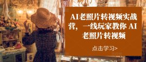 AI老照片转视频实战营，一线玩家教你AI老照片转视频-星启会