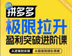 拼多多极限拉升盈利突破进阶课，​从算法到玩法，从玩法到团队搭建，体系化系统性帮助商家实现利润提升-星启会