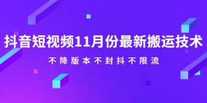 抖音短视频11月份最新搬运技术，不降版本不封抖不限流！【视频课程】-星启会