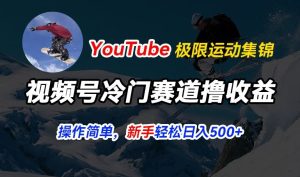 视频号冷门赛道撸收益，YouTube搬运极限运动集锦，暴力起号，操作简单流量高，轻松日入5张【揭秘】-星启会